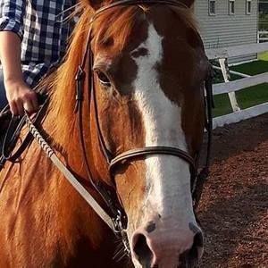 Meet your Posher, Jordan